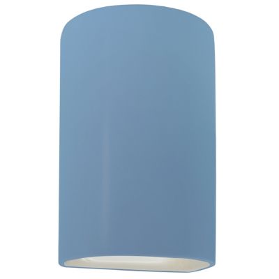 Ambiance Cylinder Downlight Wall Sconce