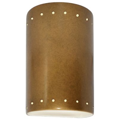 Ambiance Cylinder Downlight Wall Sconce