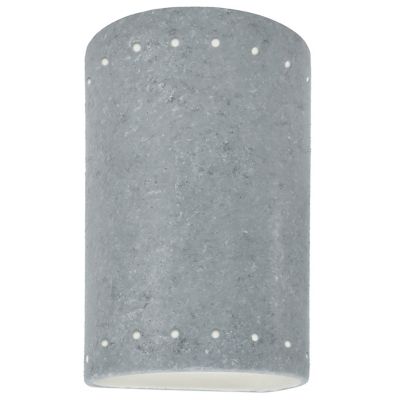 Ambiance Cylinder Downlight Wall Sconce