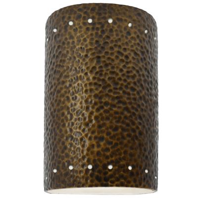 Ambiance Cylinder Downlight Wall Sconce
