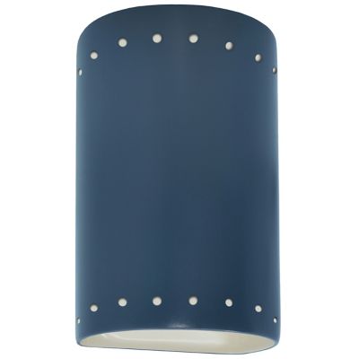Ambiance Cylinder Downlight Wall Sconce