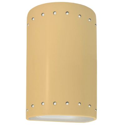 Ambiance Cylinder Downlight Wall Sconce
