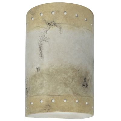 Ambiance Cylinder Downlight Wall Sconce