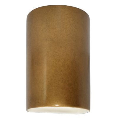 Ambiance Cylinder Downlight Wall Sconce