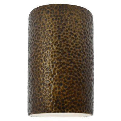 Ambiance Cylinder Downlight Wall Sconce