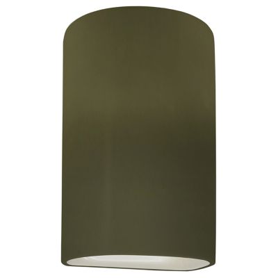 Ambiance Cylinder Downlight Wall Sconce
