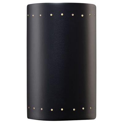 Ambiance Cylinder Downlight Wall Sconce