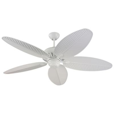 Cruise Outdoor Ceiling Fan