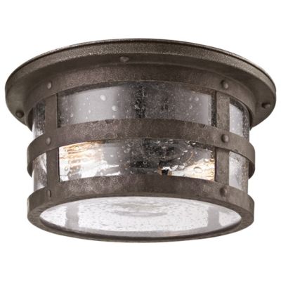 Barbosa Outdoor Flushmount