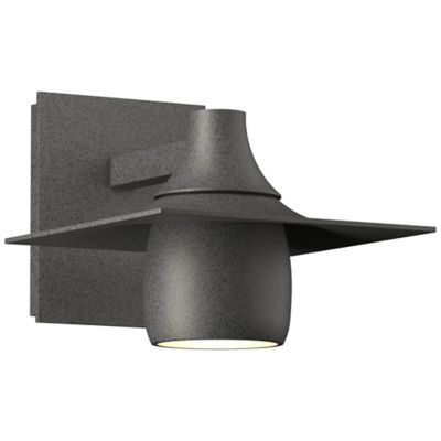 Hood Outdoor Dark Sky Wall Sconce