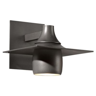 Hood Outdoor Dark Sky Wall Sconce