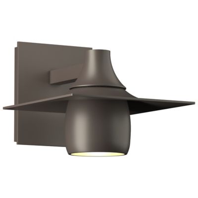 Hood Outdoor Dark Sky Wall Sconce