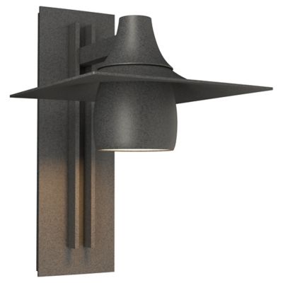 Hood Outdoor Tall Dark Sky Wall Sconce