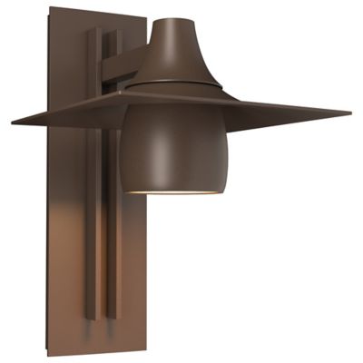Hood Outdoor Tall Dark Sky Wall Sconce