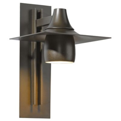Hood Outdoor Tall Dark Sky Wall Sconce