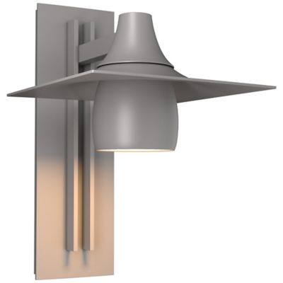 Hood Outdoor Tall Dark Sky Wall Sconce