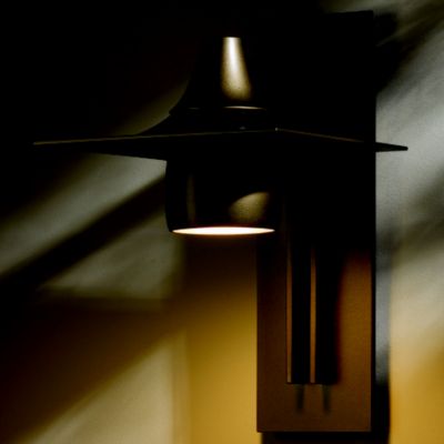 Hood Outdoor Tall Dark Sky Wall Sconce