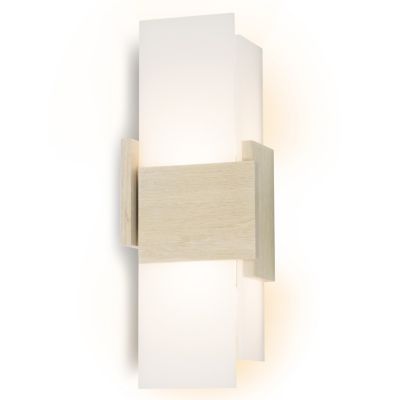 Acuo LED Wall Sconce