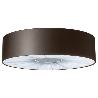 Skin Flushmount