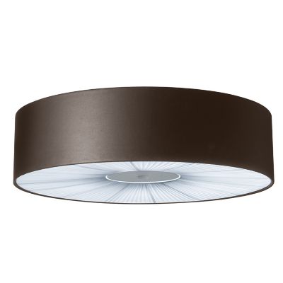 Skin Flushmount