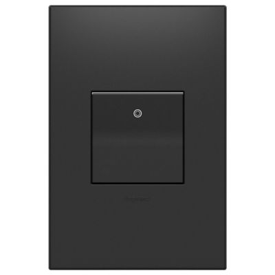 Paddle Switch