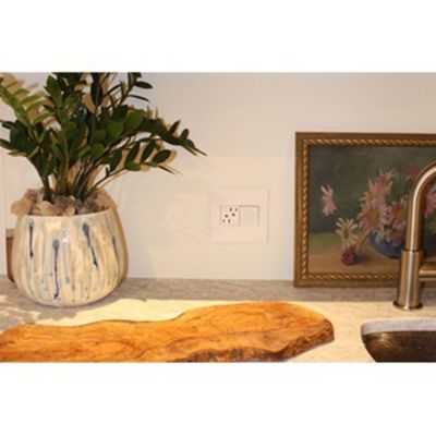 Legrand Pass And Seymour 15 Amp White Tamper Resistant Electrical