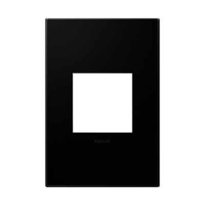 Wall Plate (Bright & Neutral Tone Plastic)