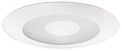 5-Inch Frosted Lens with Clear Center Trim