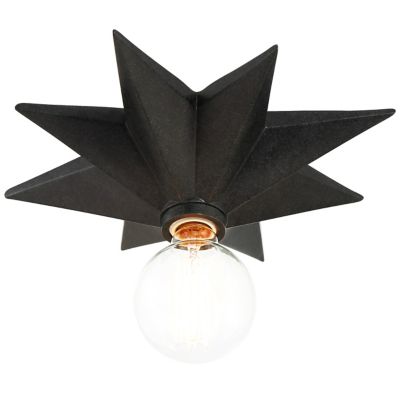 Astro Wall Sconce / Flushmount