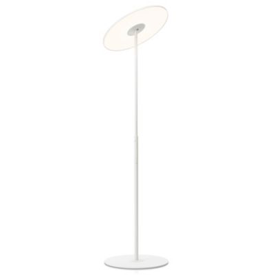 Circa LED Floor Lamp