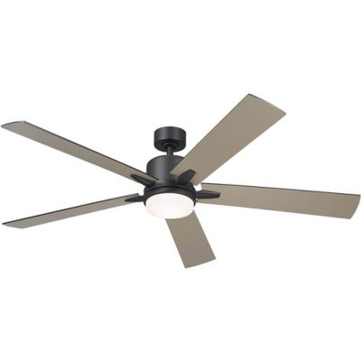 Lucian Ceiling Fan