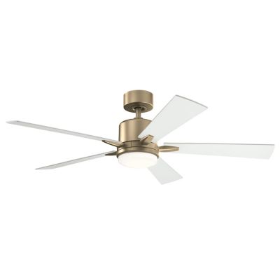 Lucian Ceiling Fan