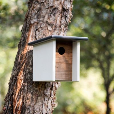 Arbor Modern Birdhouse by Loll Designs at
