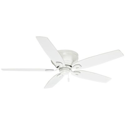 Durant 54 Inch Ceiling Fan