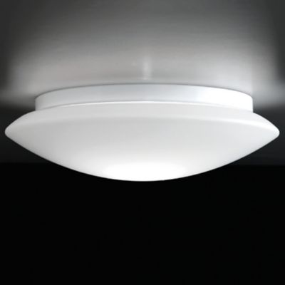 Bis Bayonet Wall/Ceiling Light