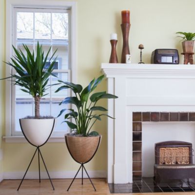 最高の品質の 50s / ミニ Retro Hip ヒップヘイヴン Haven レトロ