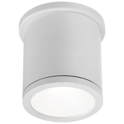 Flush mount online tube light