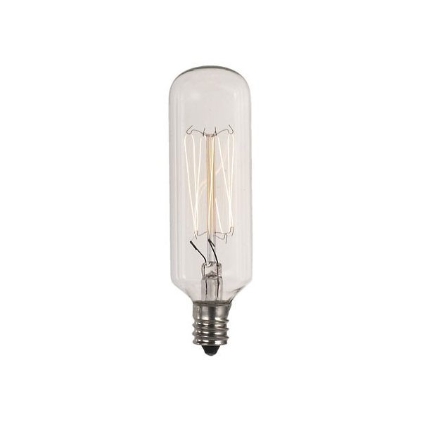 40W 120V E12 T8 Carbon Filament Bulb